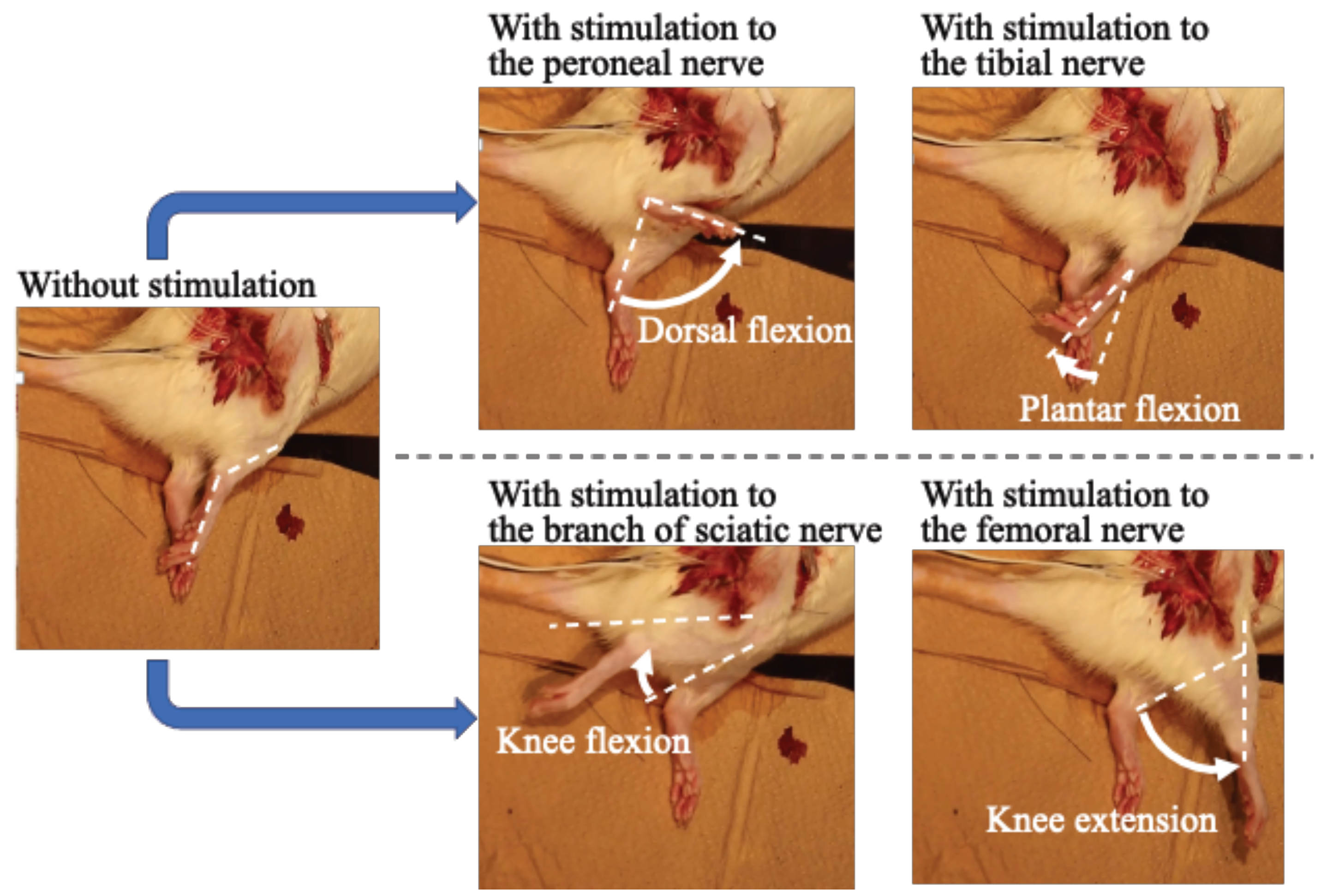 Sensors 22 07198 g007 Sensors 22 07198 g007
