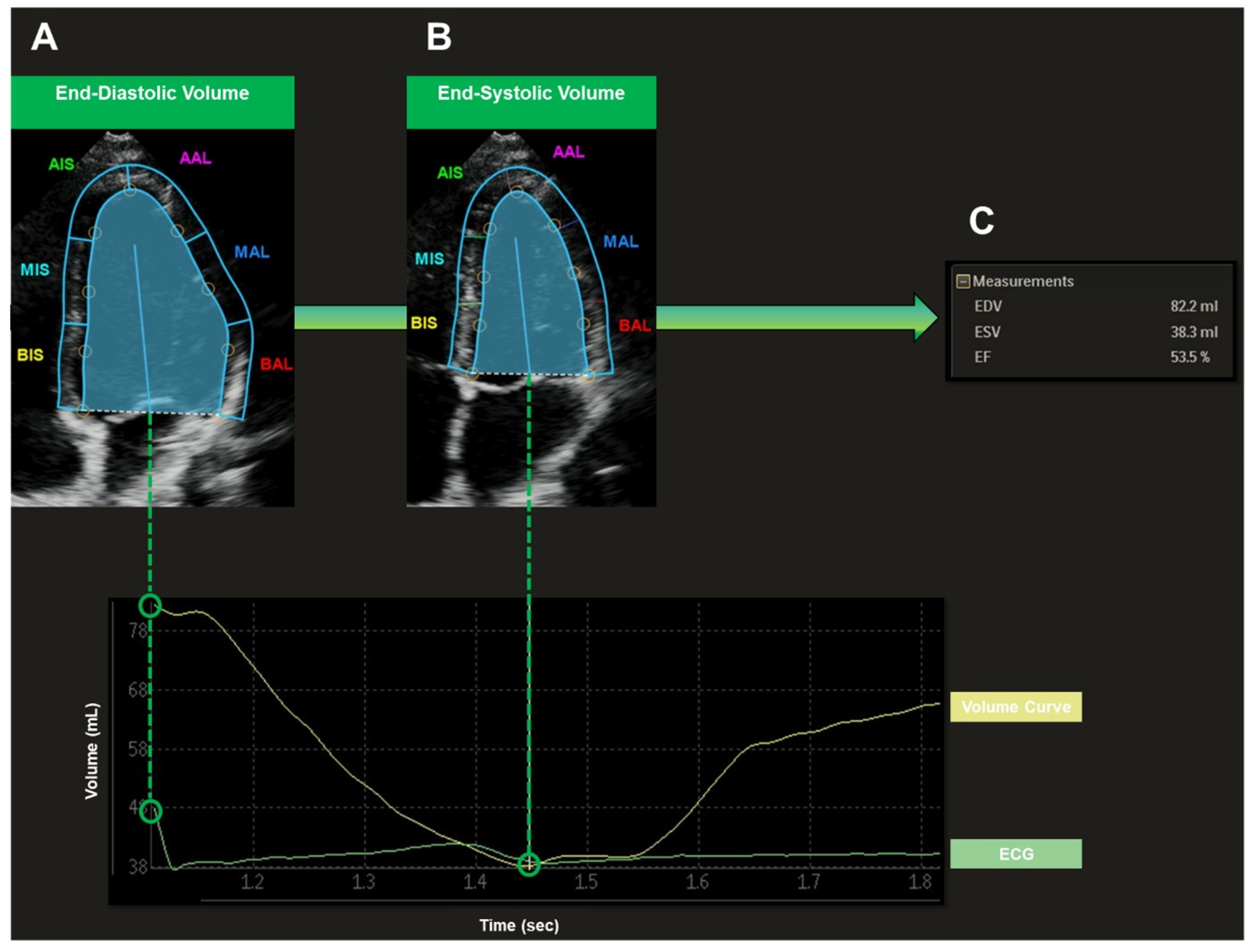 Sensors 22 07209 g001 Sensors 22 07209 g001