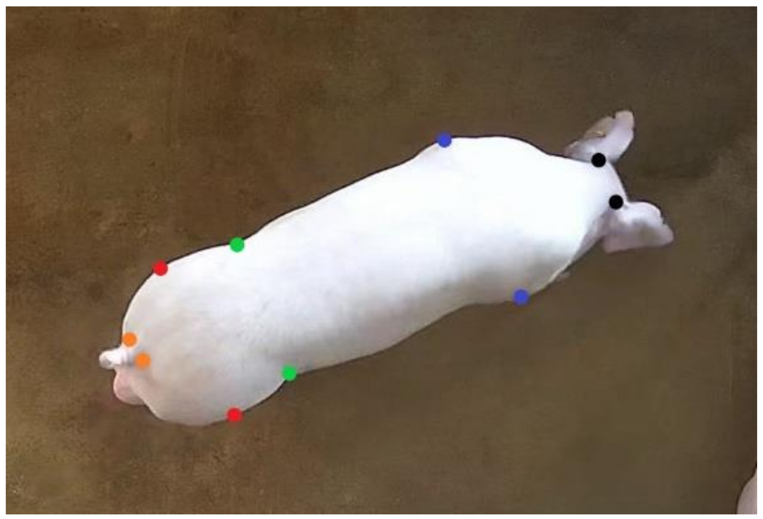 Sensors 22 07215 g002 550