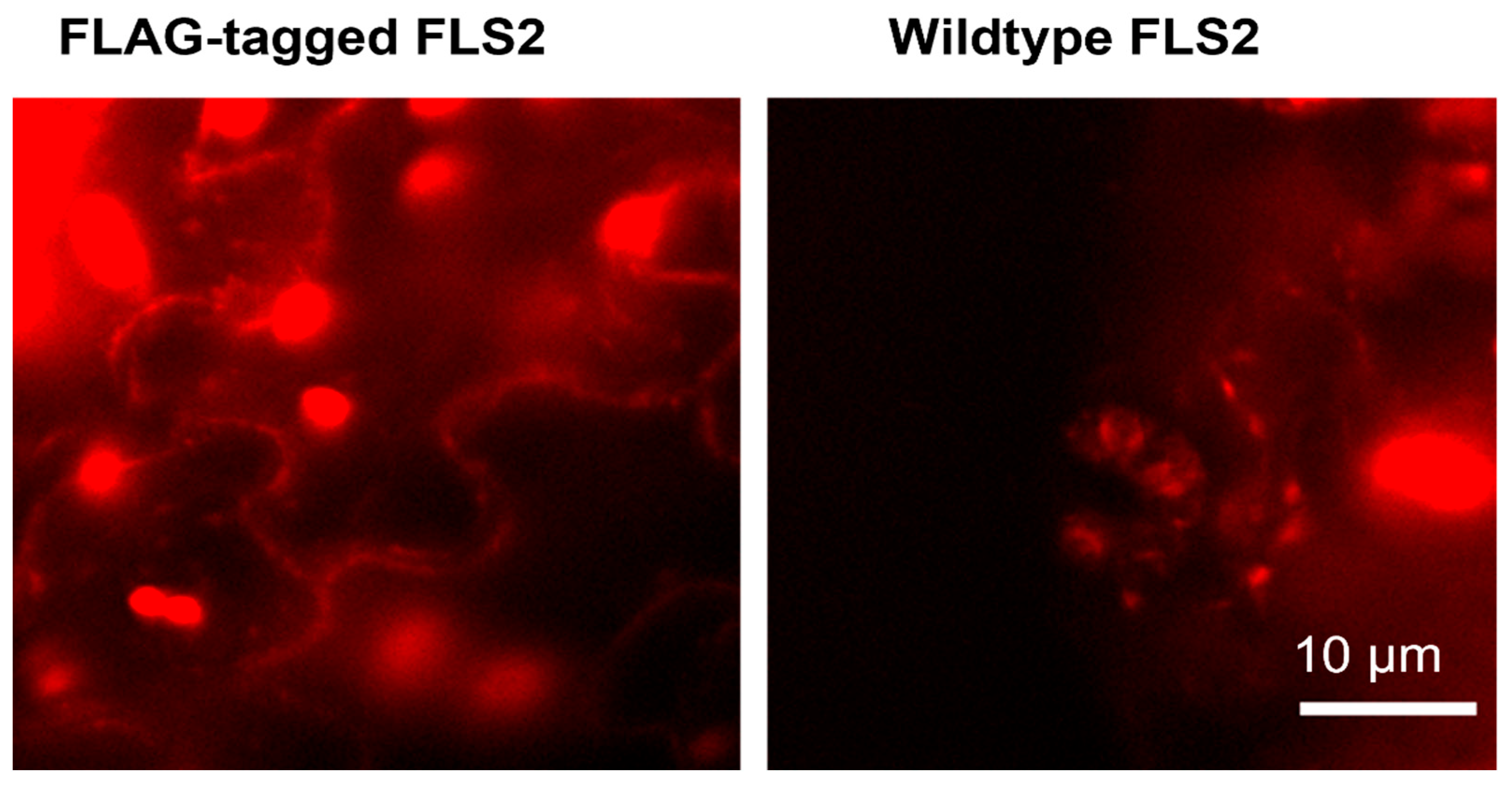 Sensors 22 07218 g004