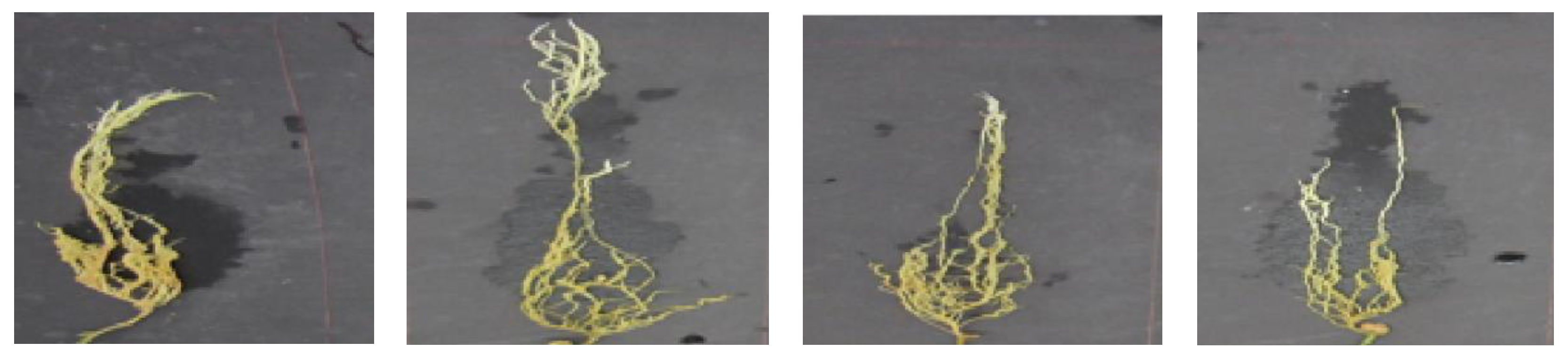 Sensors 22 07237 g007 550