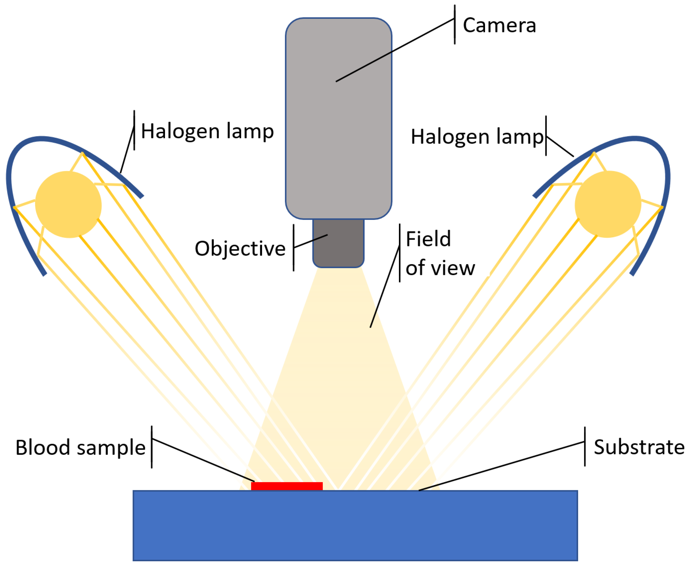 Sensors 22 07311 g002