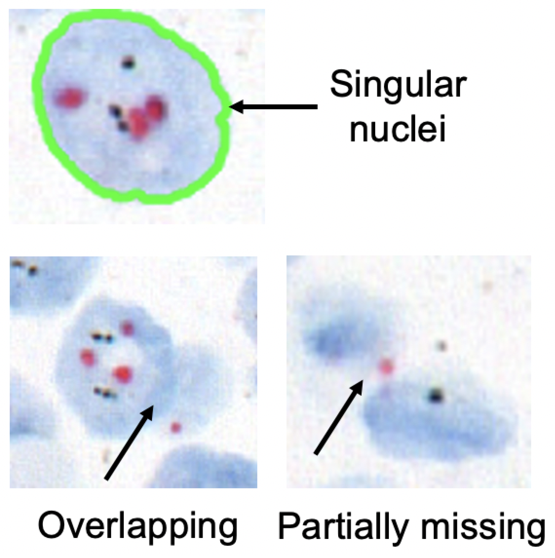 Sensors 22 07361 g002