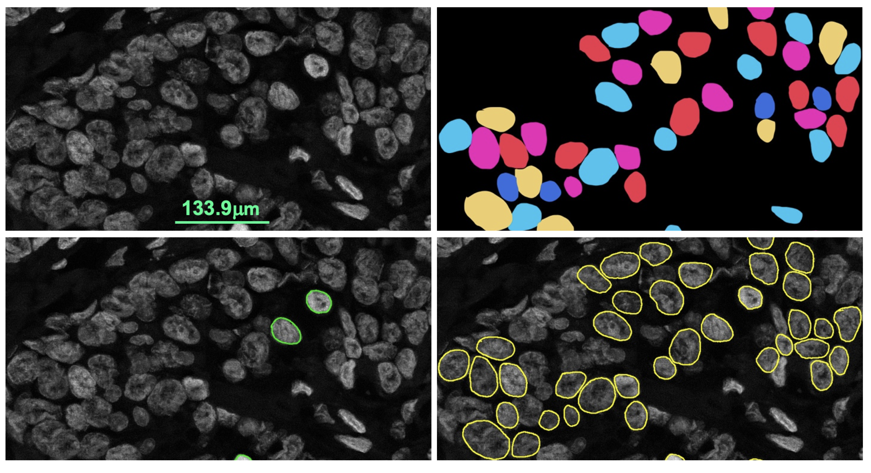 Sensors 22 07361 g011