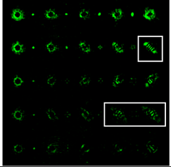 Sensors 22 07365 i110