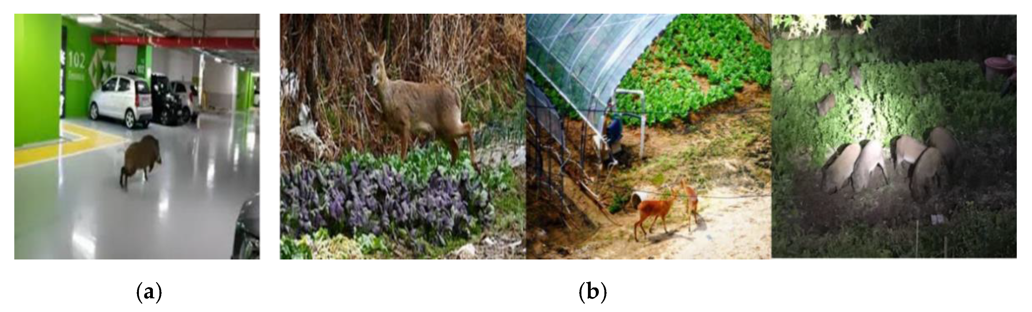 Sensors 22 07383 g001 Sensors 22 07383 g001