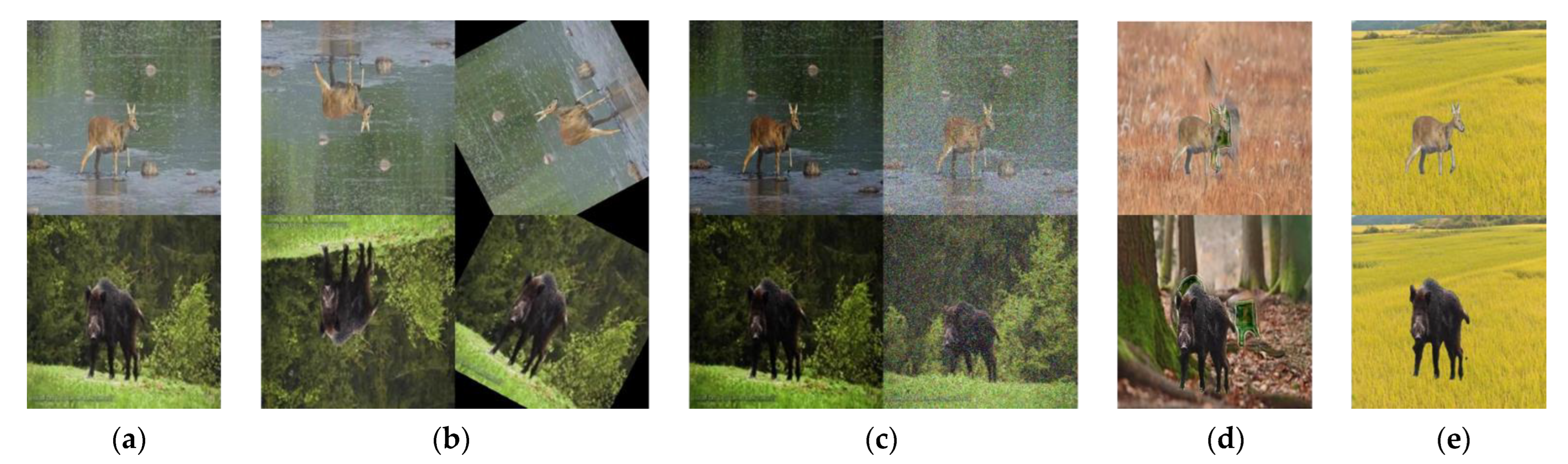 Sensors 22 07383 g004 Sensors 22 07383 g004