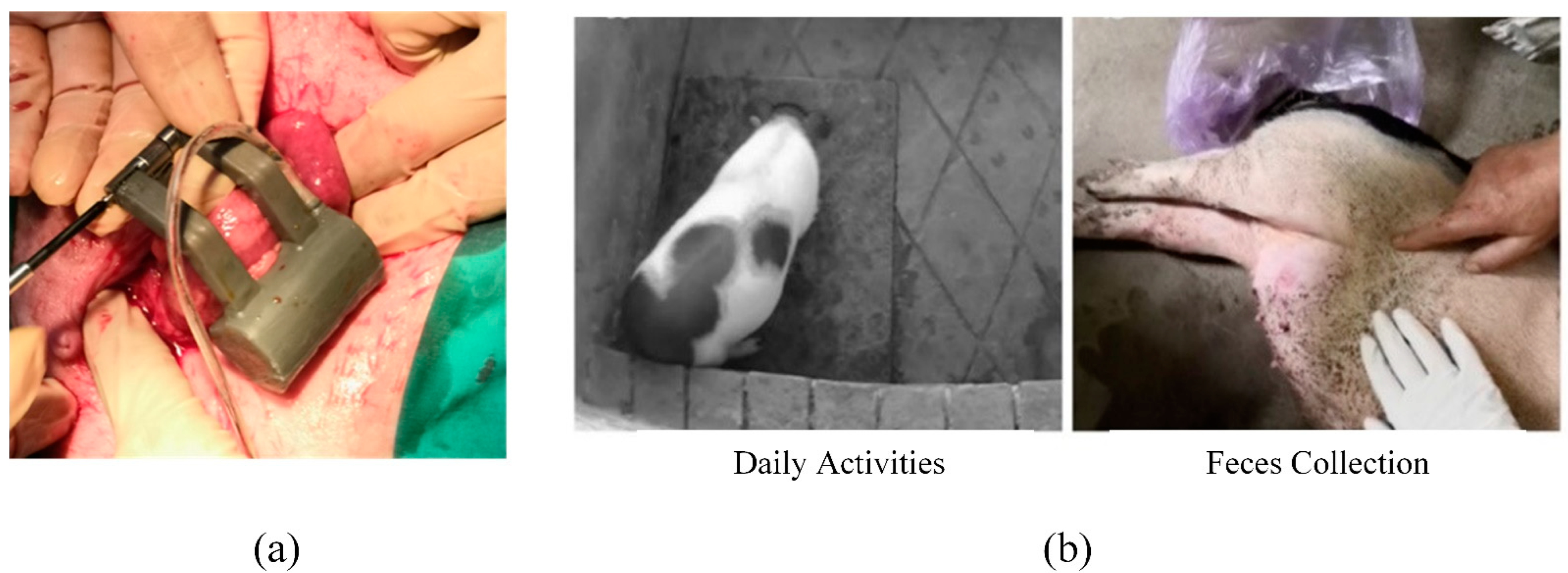 Sensors 22 07407 g005 550