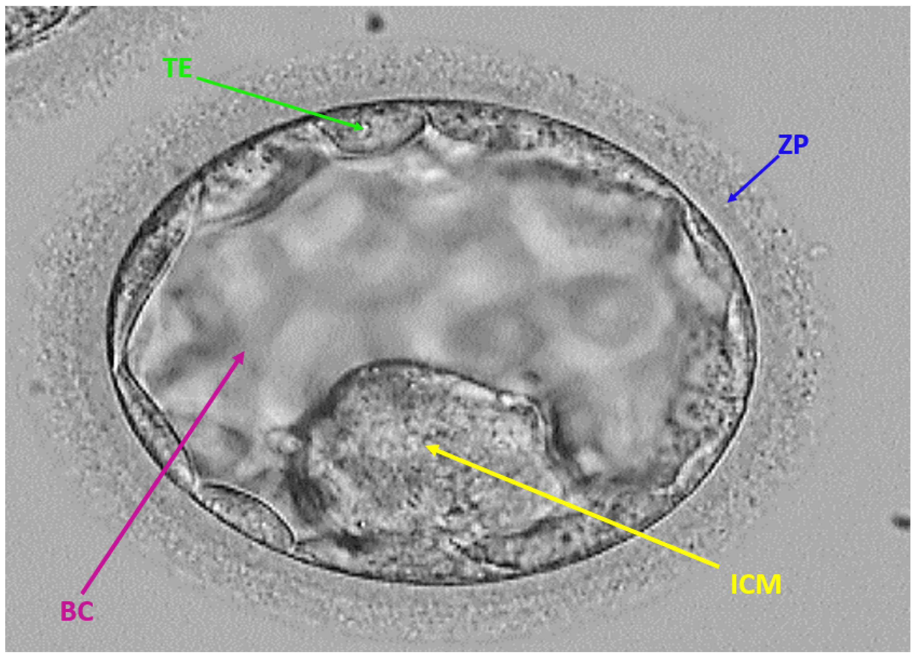 Sensors 22 07418 g001 Sensors 22 07418 g001