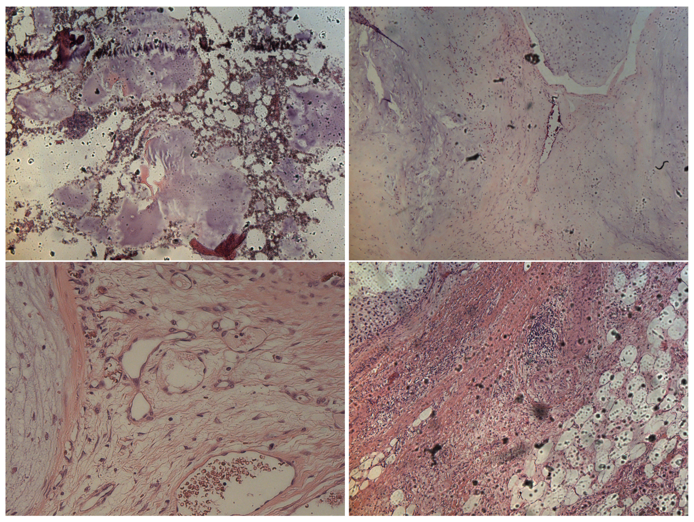 Sensors 22 07492 g002