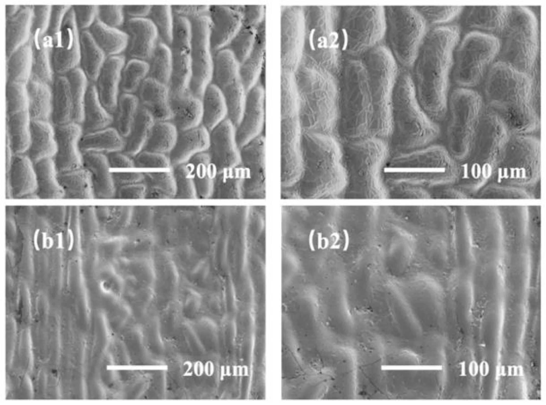 Sensors 22 07507 g002 Sensors 22 07507 g002
