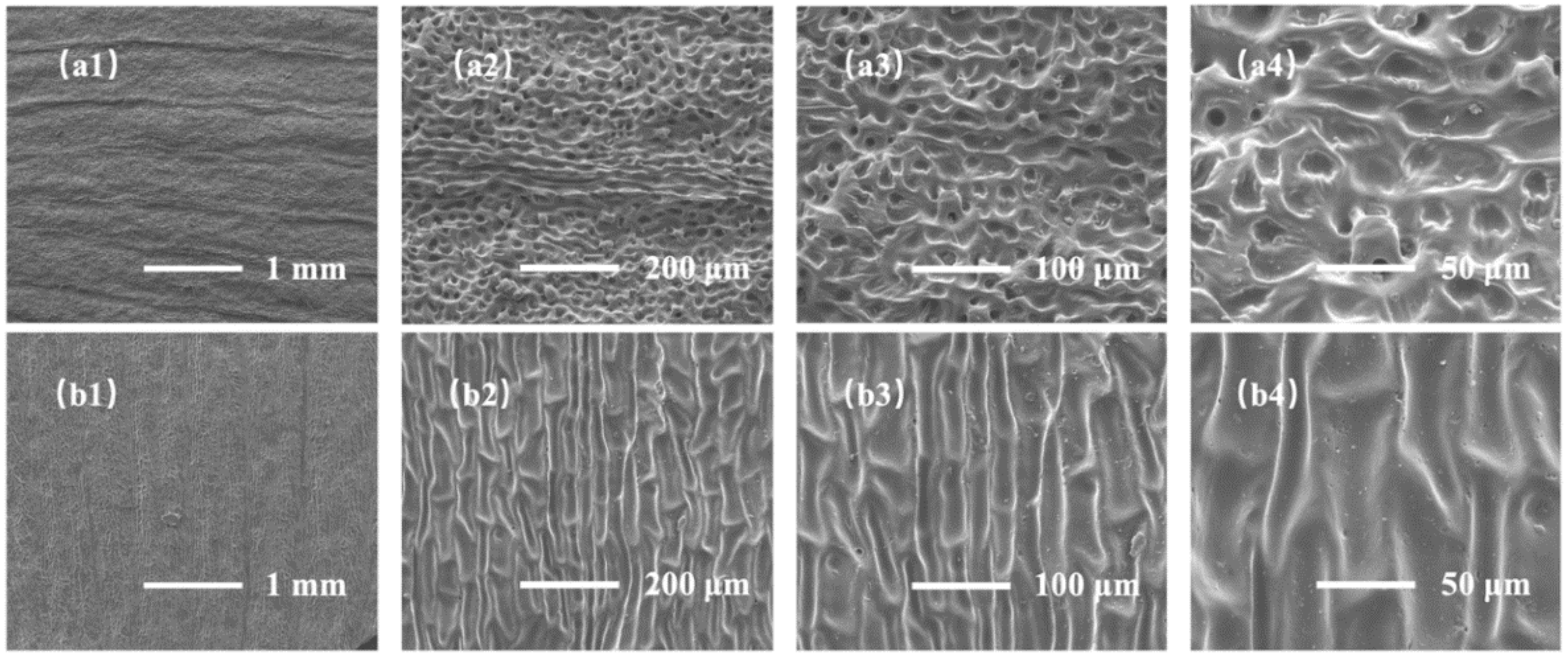 Sensors 22 07507 g003 Sensors 22 07507 g003