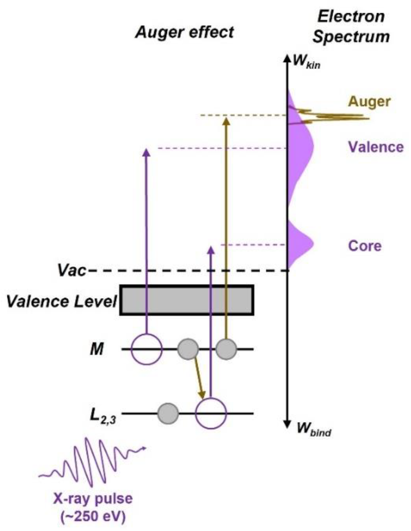 Sensors 22 07513 g001