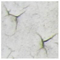 Sensors 22 07600 i001