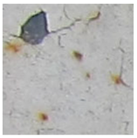 Sensors 22 07600 i007