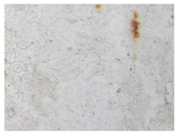 Sensors 22 07600 i018