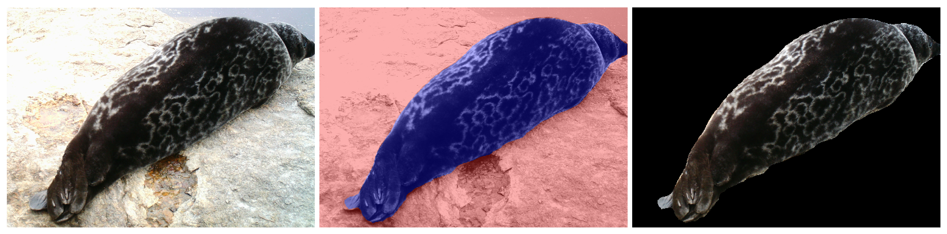 Sensors 22 07602 g004