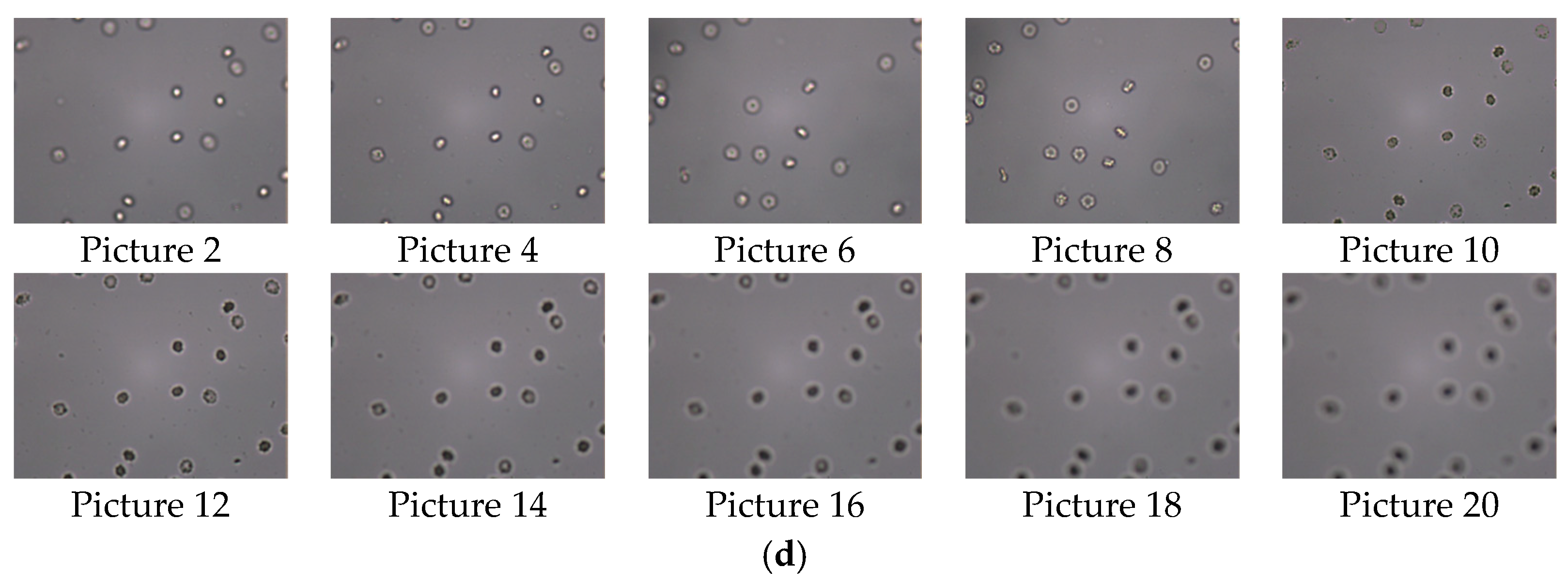 Sensors 22 07607 g004b Sensors 22 07607 g004b