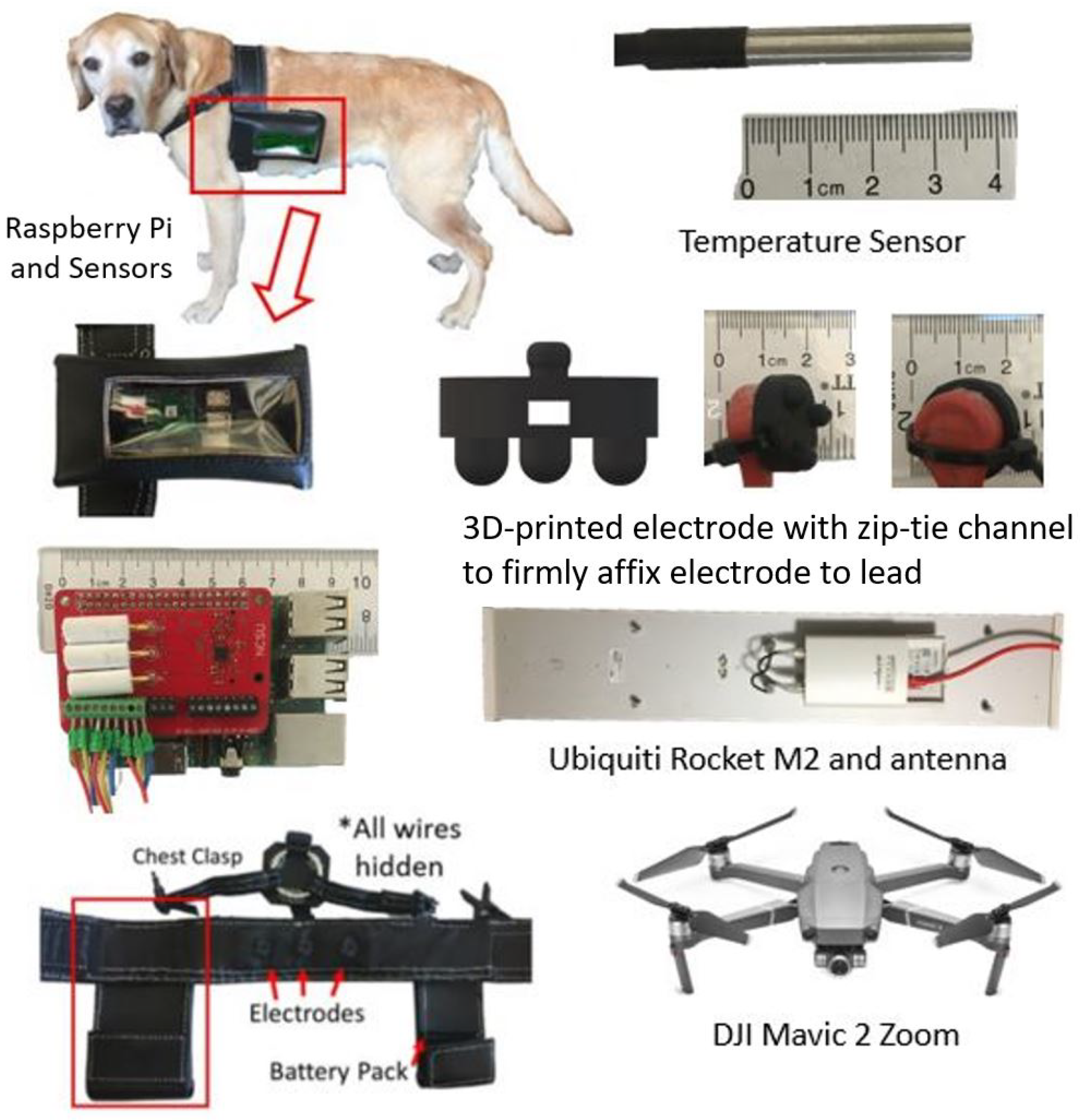 Sensors Free FullText Preliminary Evaluation of a System with On