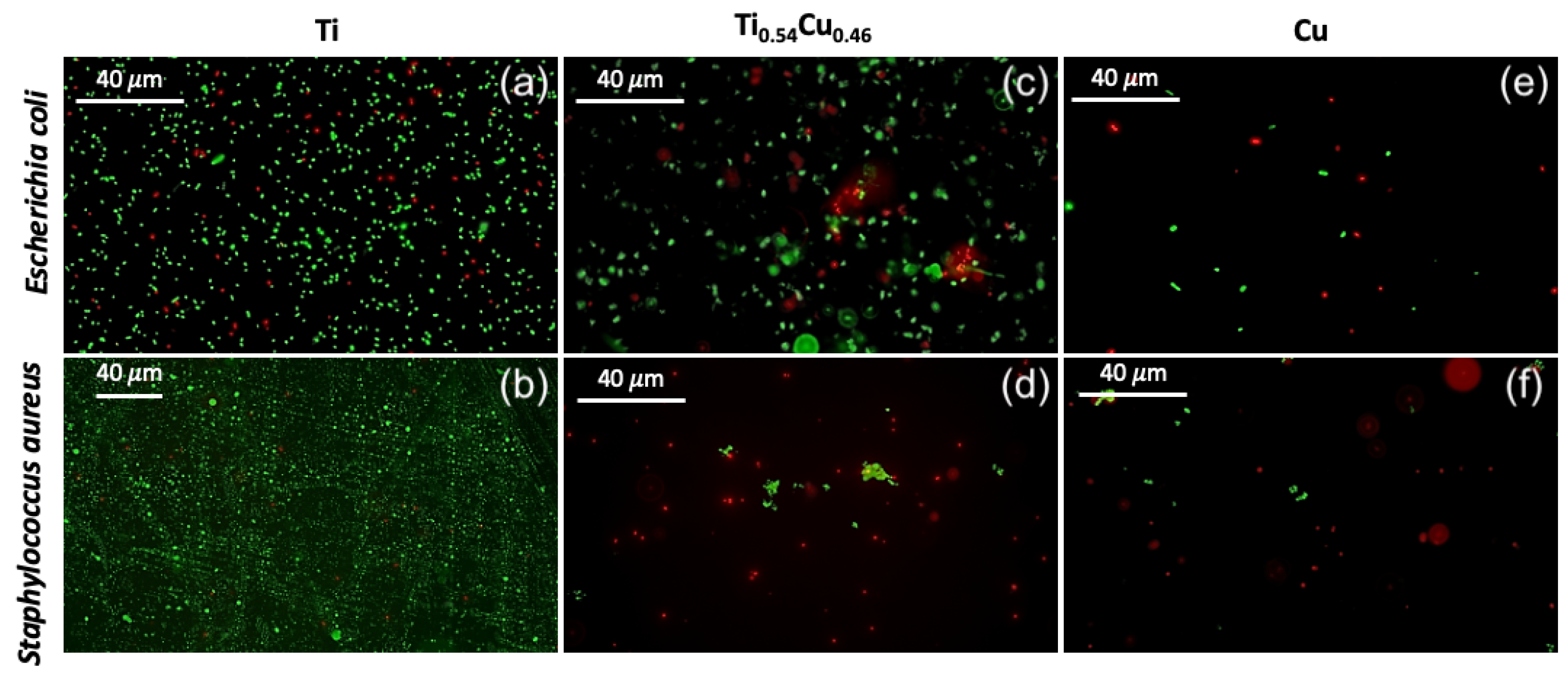 Sensors 22 07665 g004 Sensors 22 07665 g004