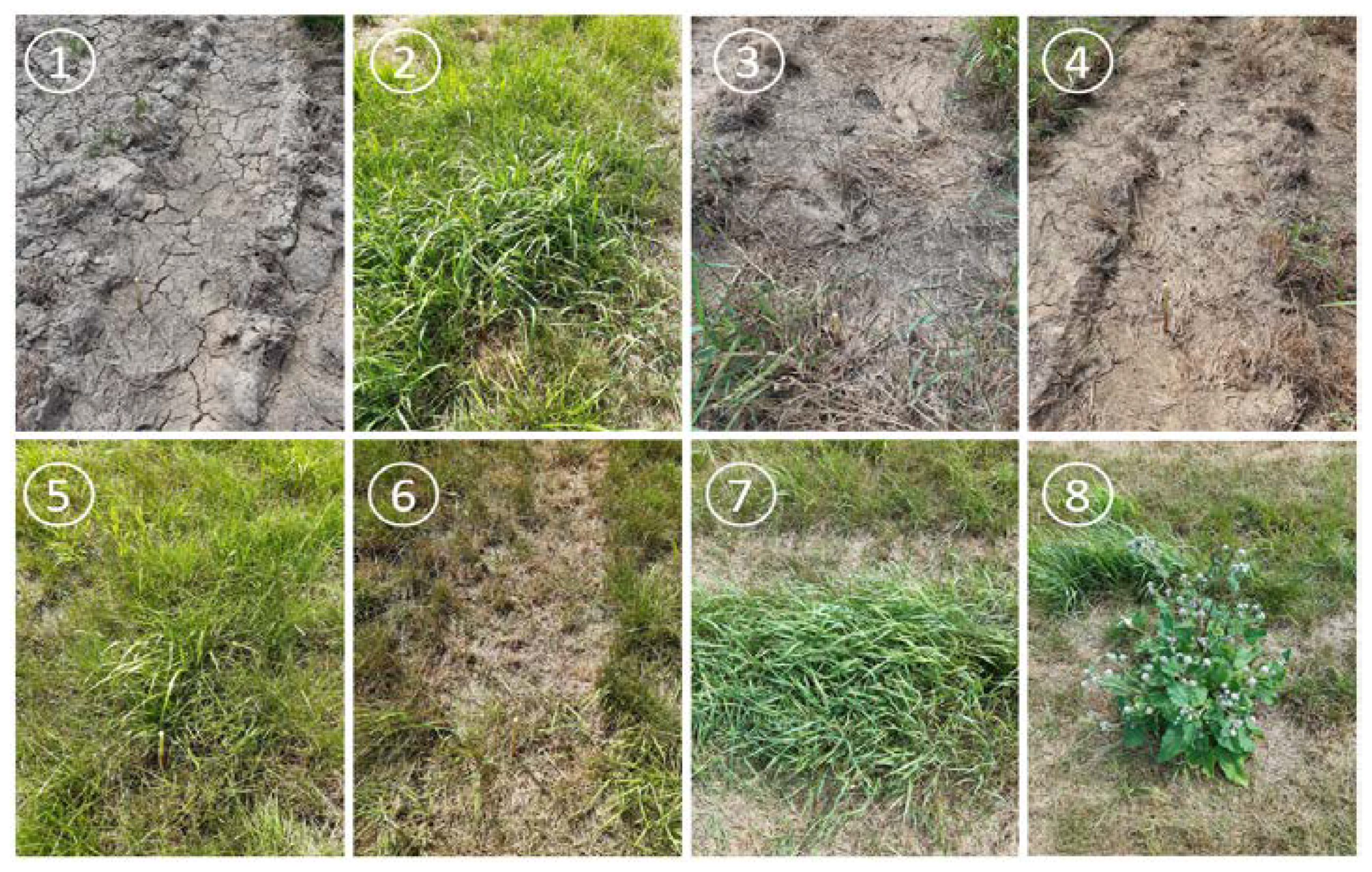 Sensors 22 07693 g003