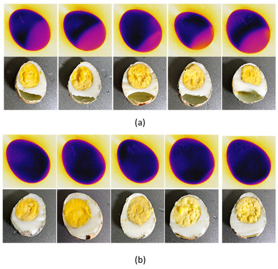 Sensors Free FullText Fast and NonDestructive Quail Egg Freshness