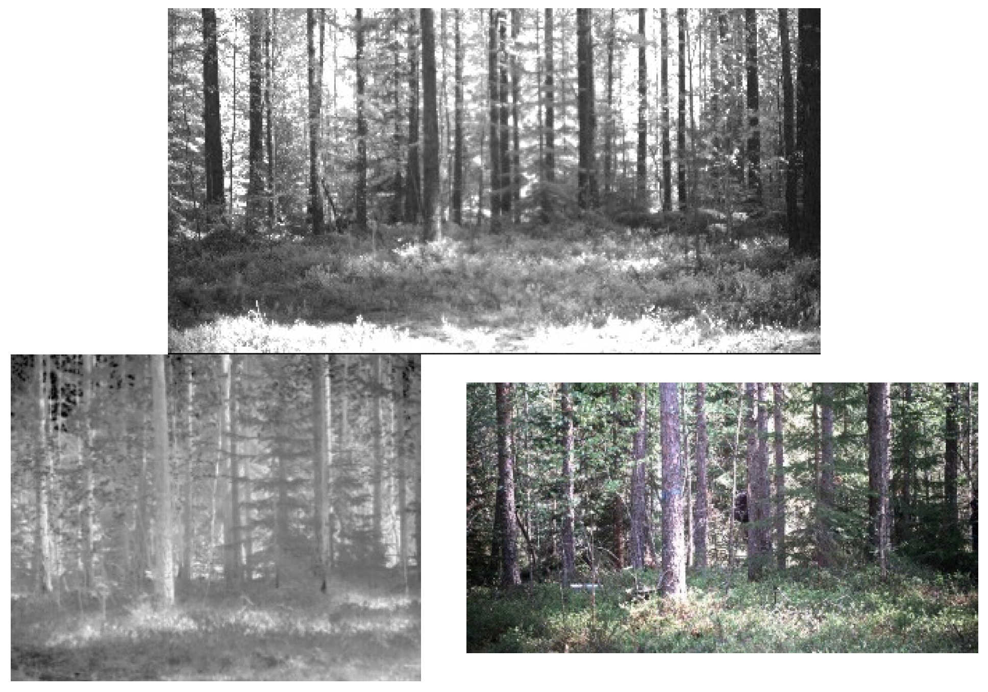 Sensors 22 07720 g006