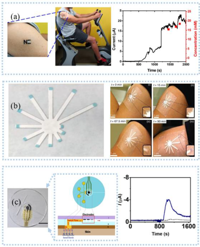 Sensors 22 07784 g008 Sensors 22 07784 g008