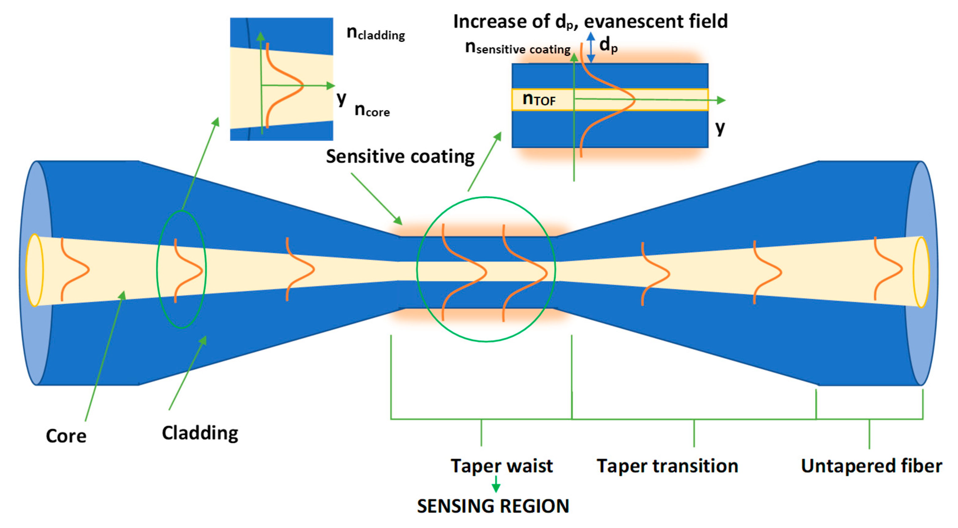 Sensors Free FullText Optical Properties of a Tapered Optical
