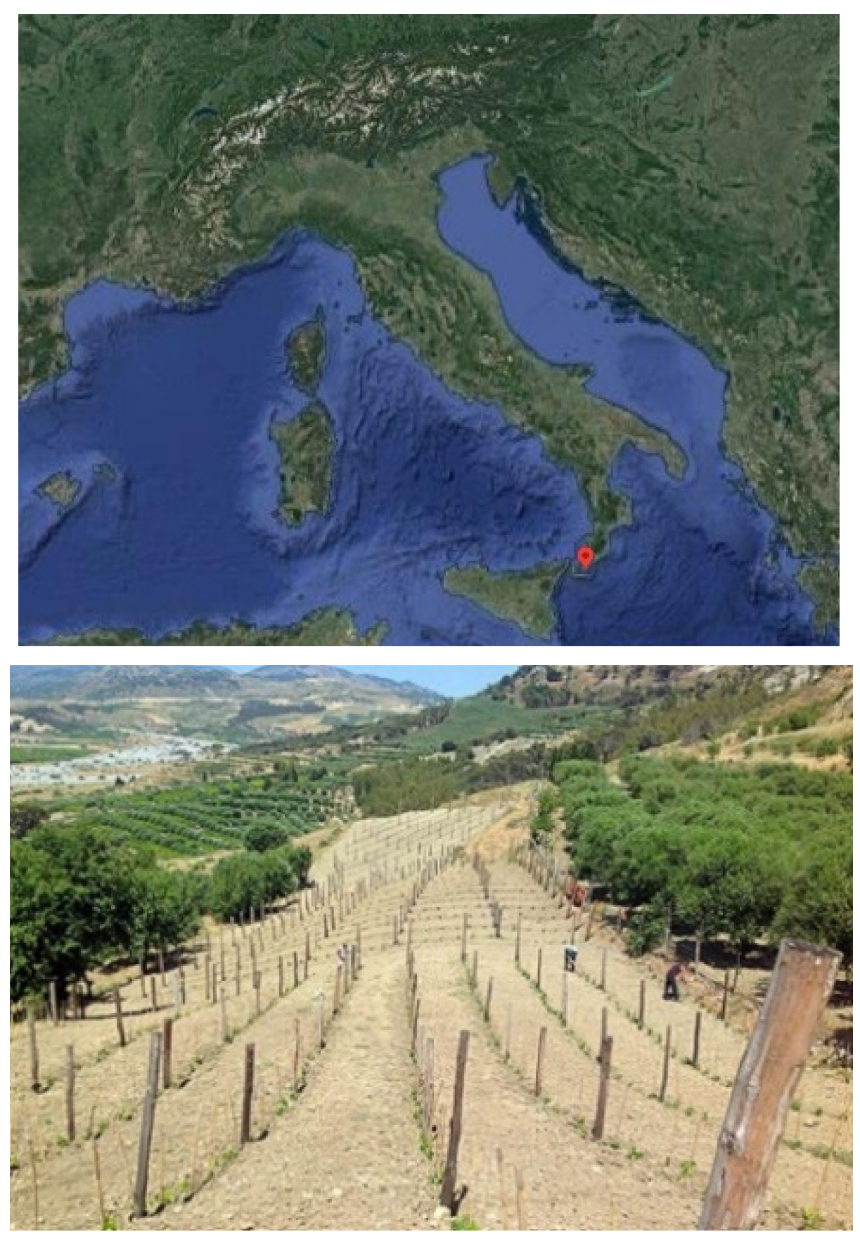 Sensors 22 07910 g001