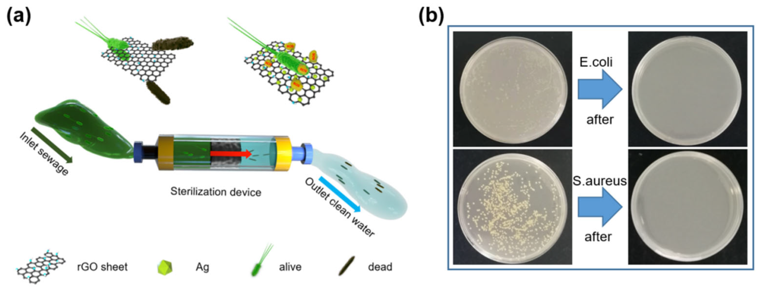 Sensors 22 07952 g005 Sensors 22 07952 g005