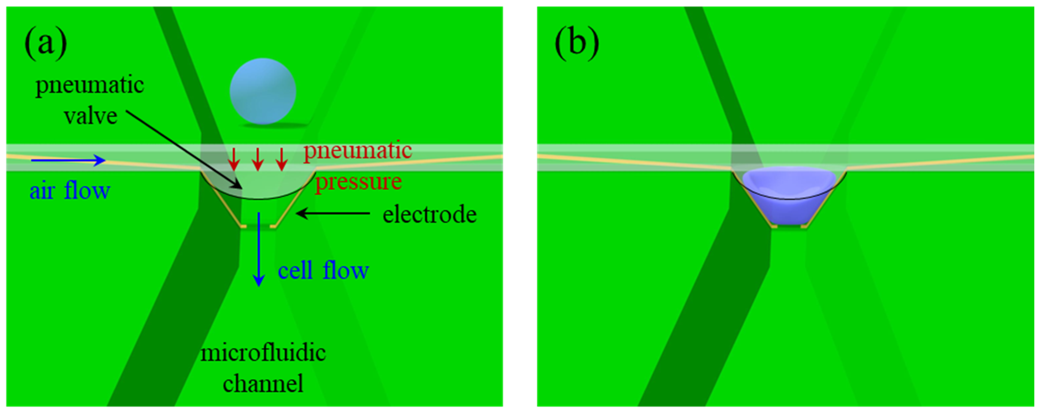 Sensors 22 07969 g001 Sensors 22 07969 g001