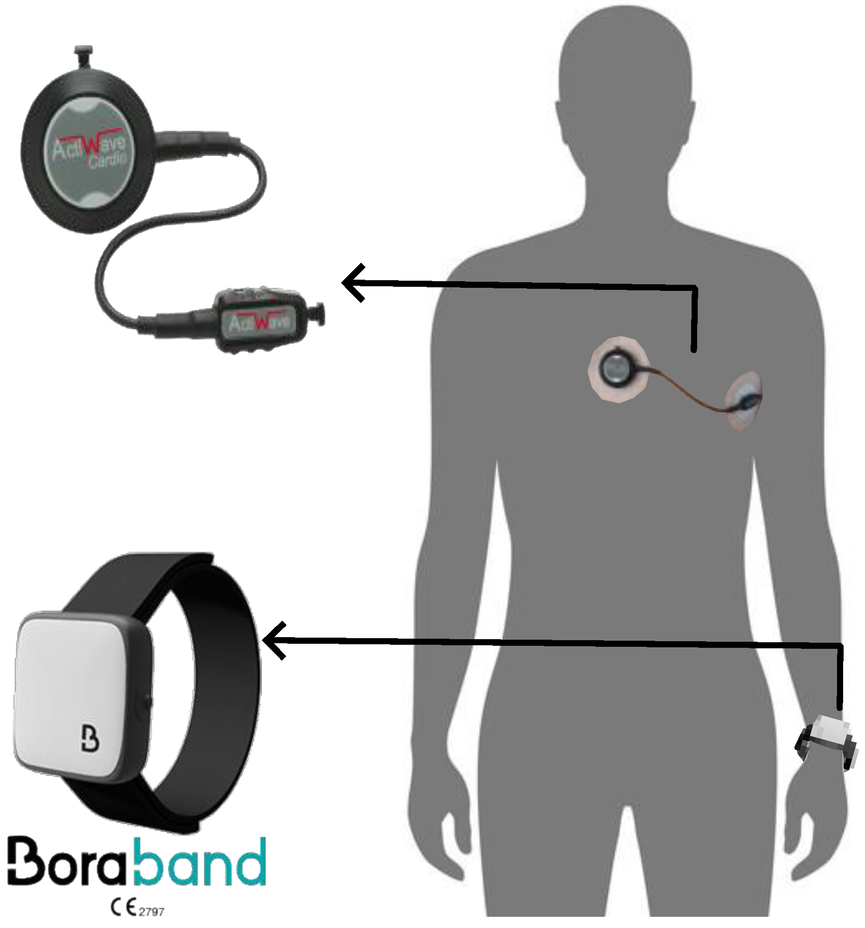 Sensors 22 07995 g001