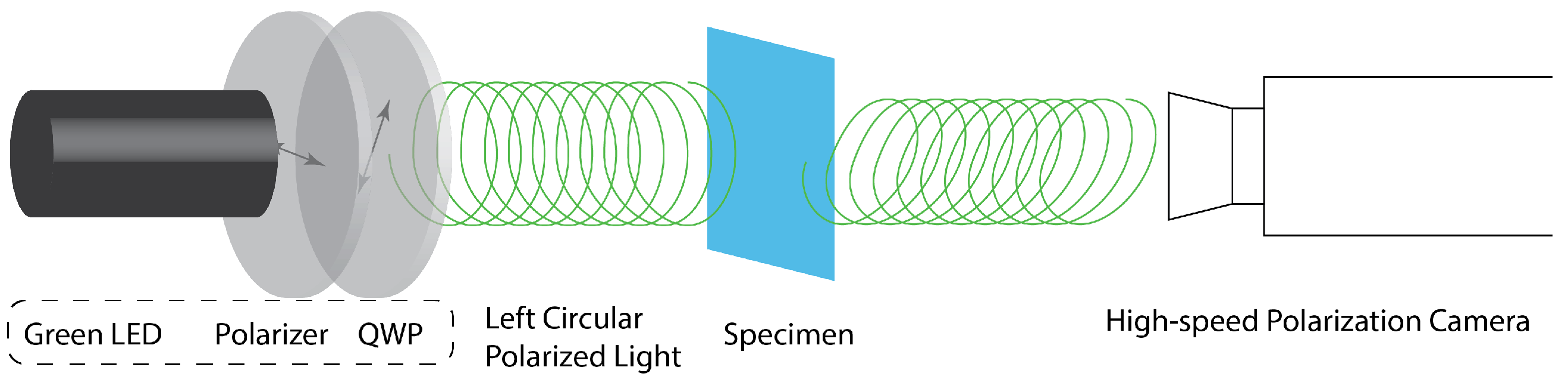 Sensors 22 08000 g001