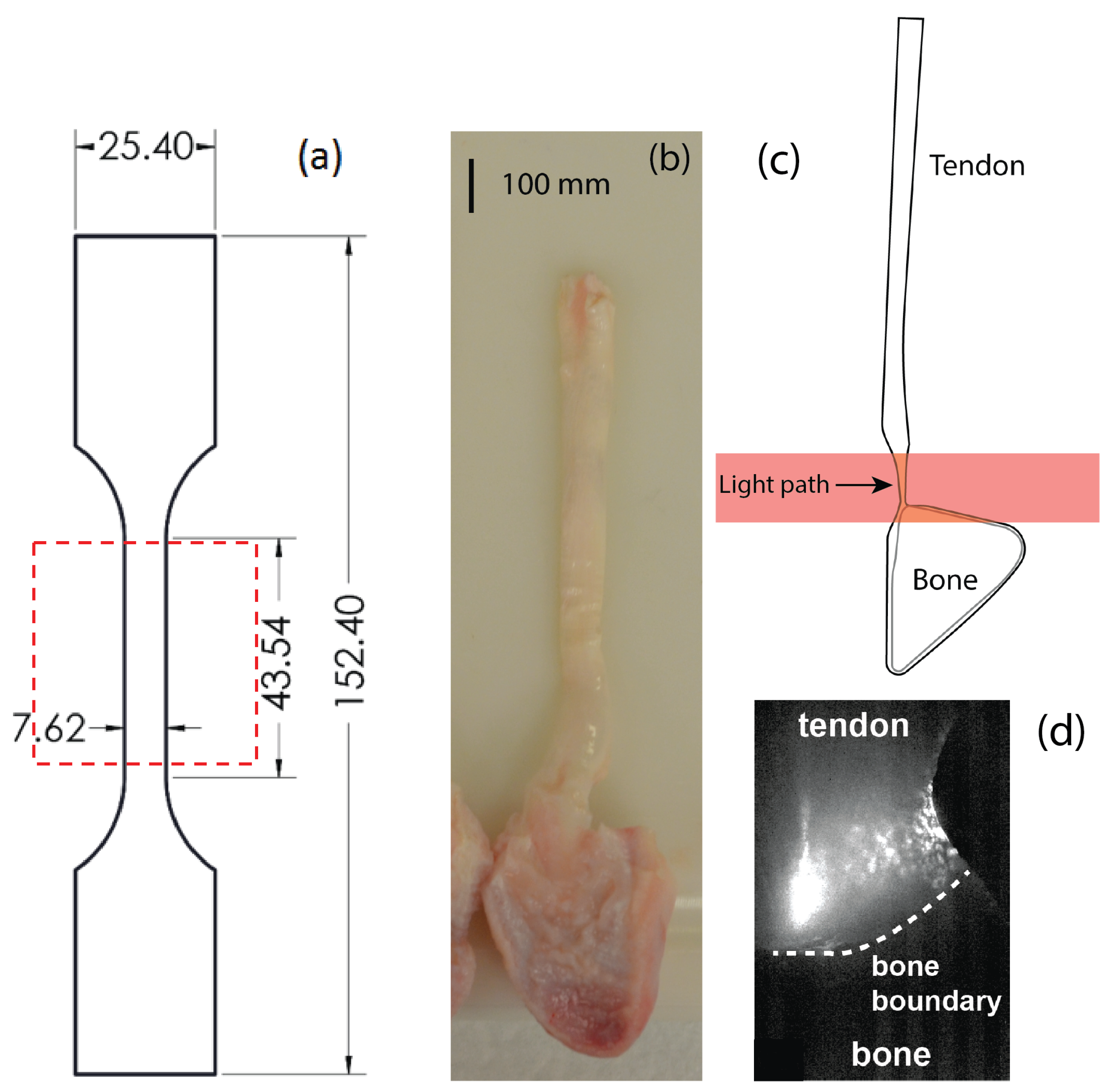 Sensors 22 08000 g003