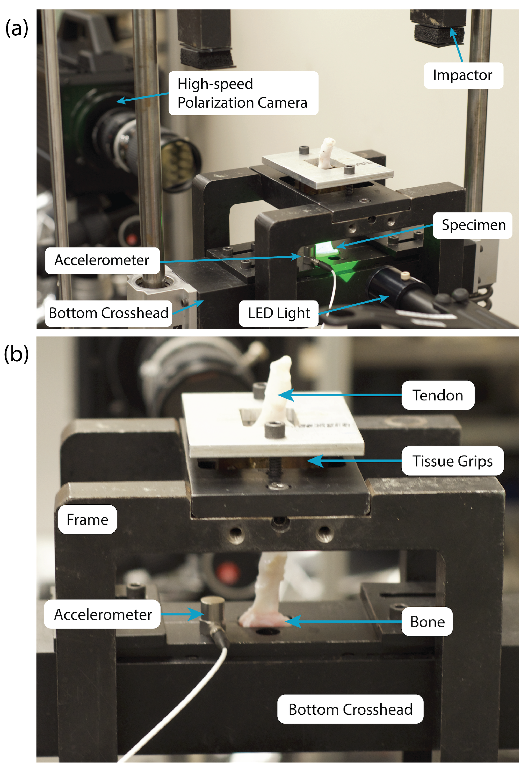 Sensors 22 08000 g004