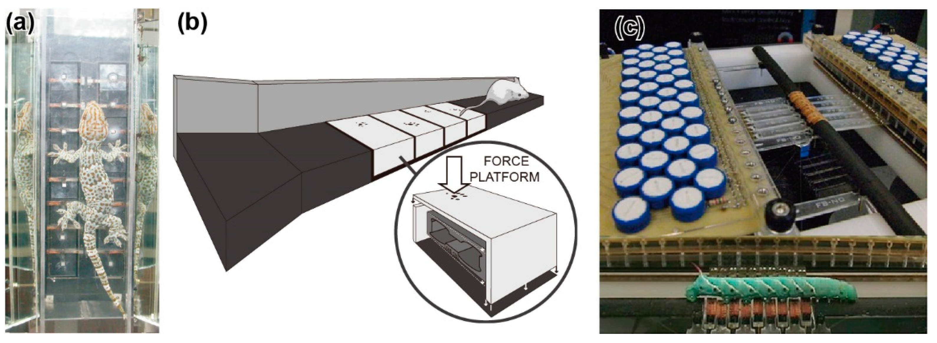 Sensors 22 08018 g004