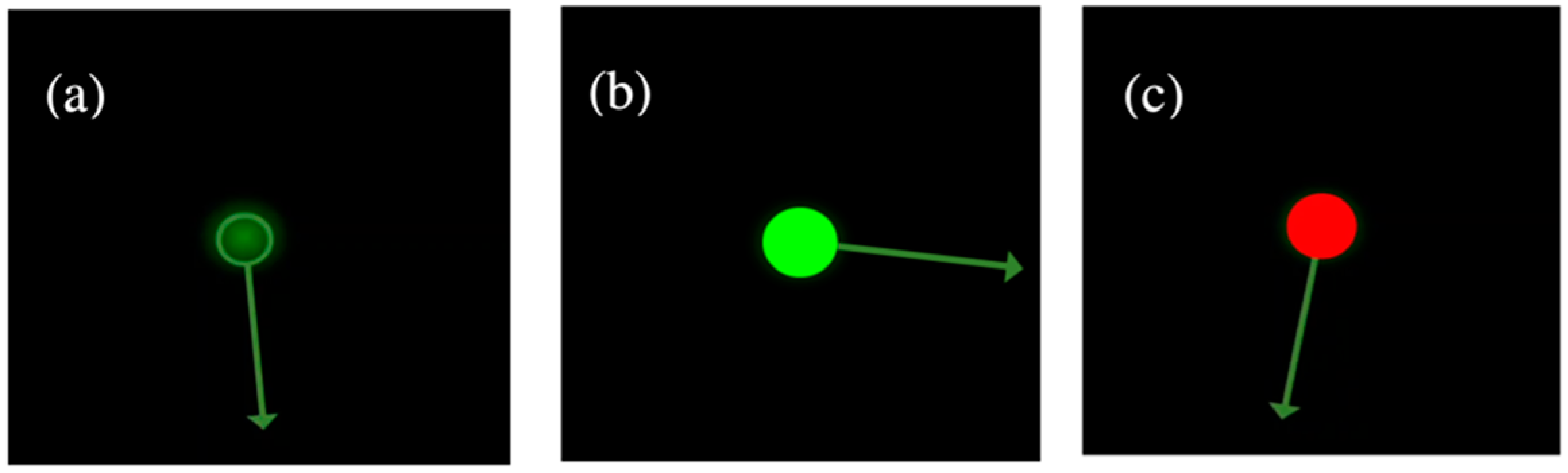Sensors 22 08047 g002 Sensors 22 08047 g002