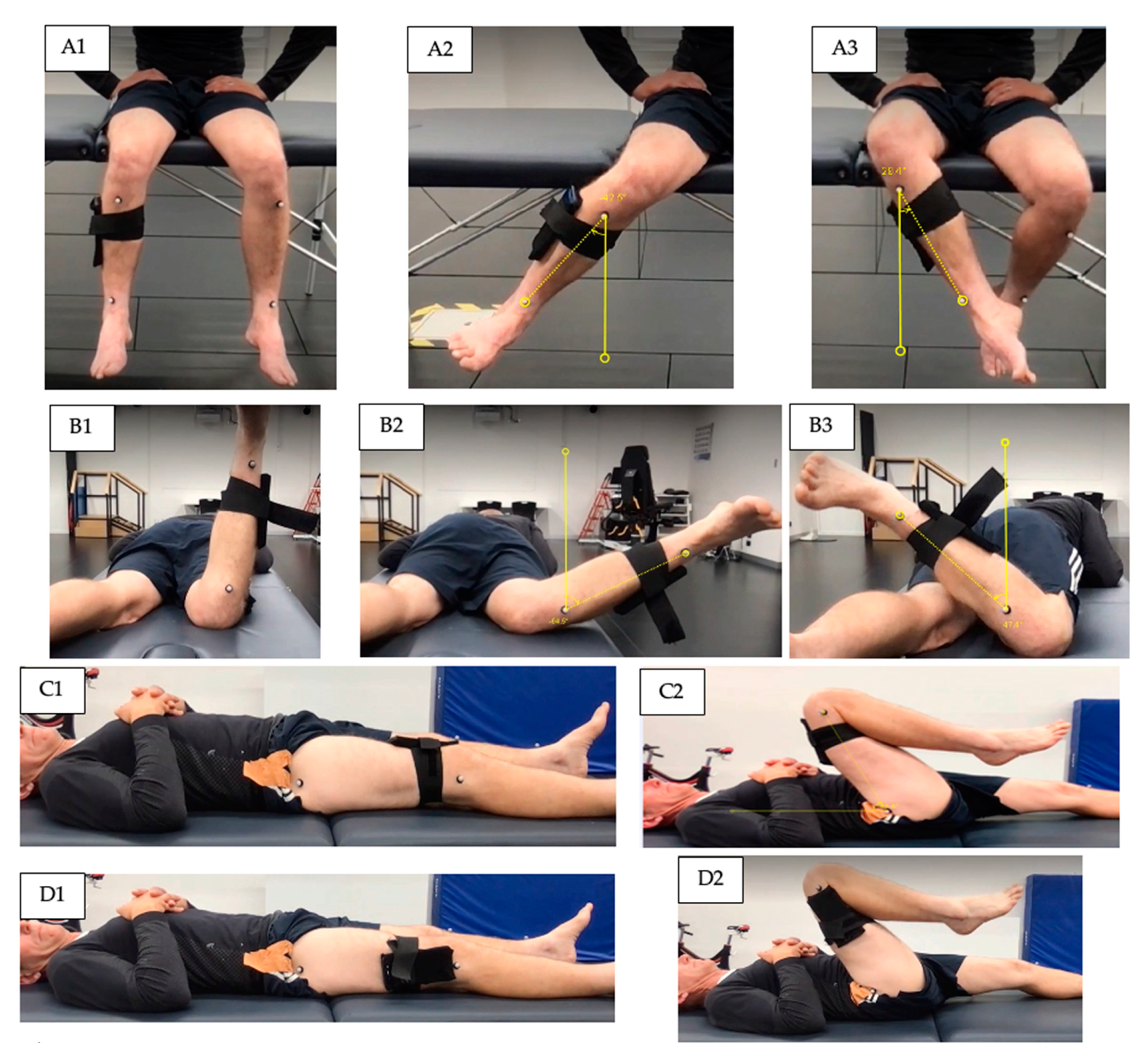 Sensors 22 08154 g001 Sensors 22 08154 g001