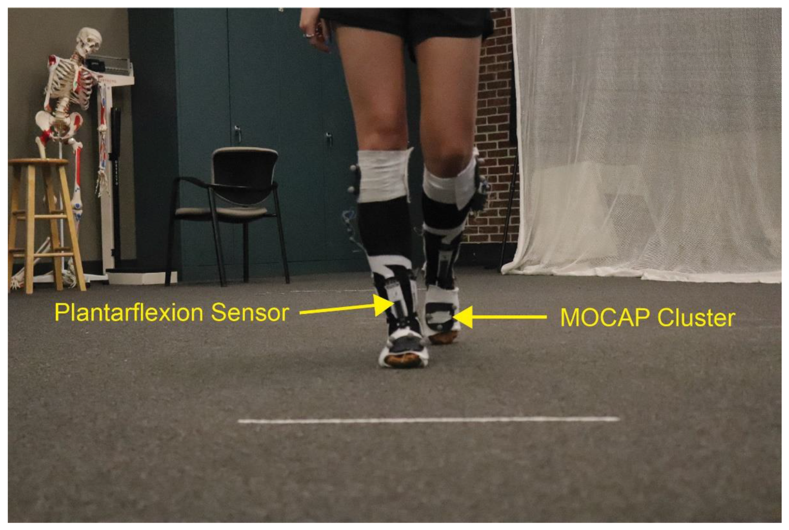 Sensors 22 08168 g005