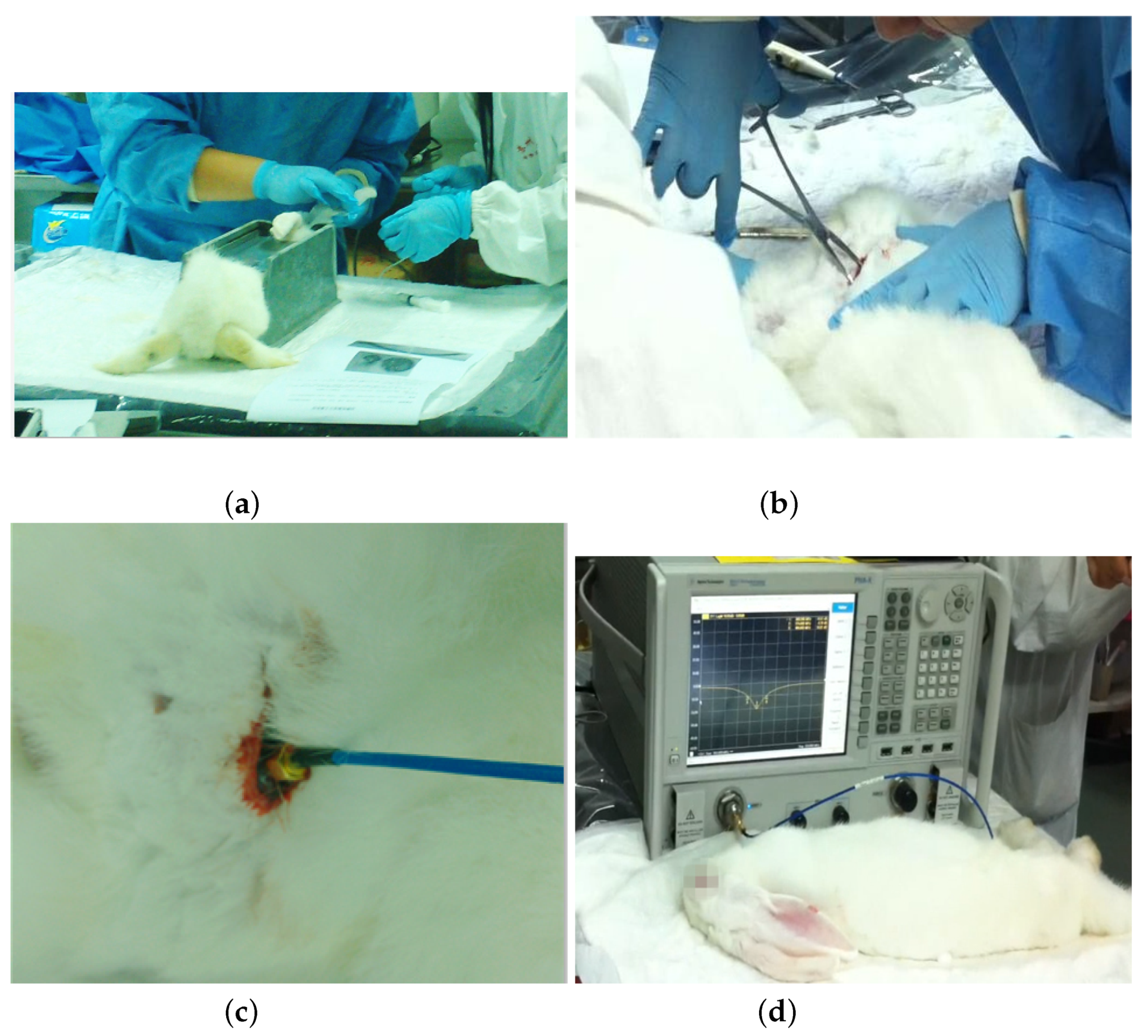 Sensors 22 08182 g013 Sensors 22 08182 g013