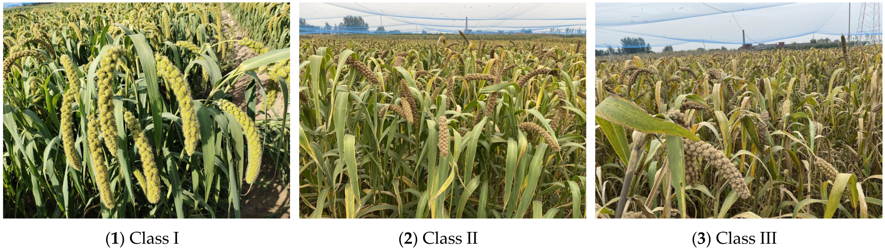 Sensors 22 08206 g001 Sensors 22 08206 g001