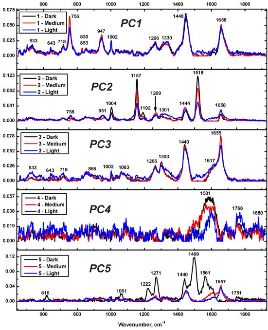 Sensors 22 08234 g006 Sensors 22 08234 g006