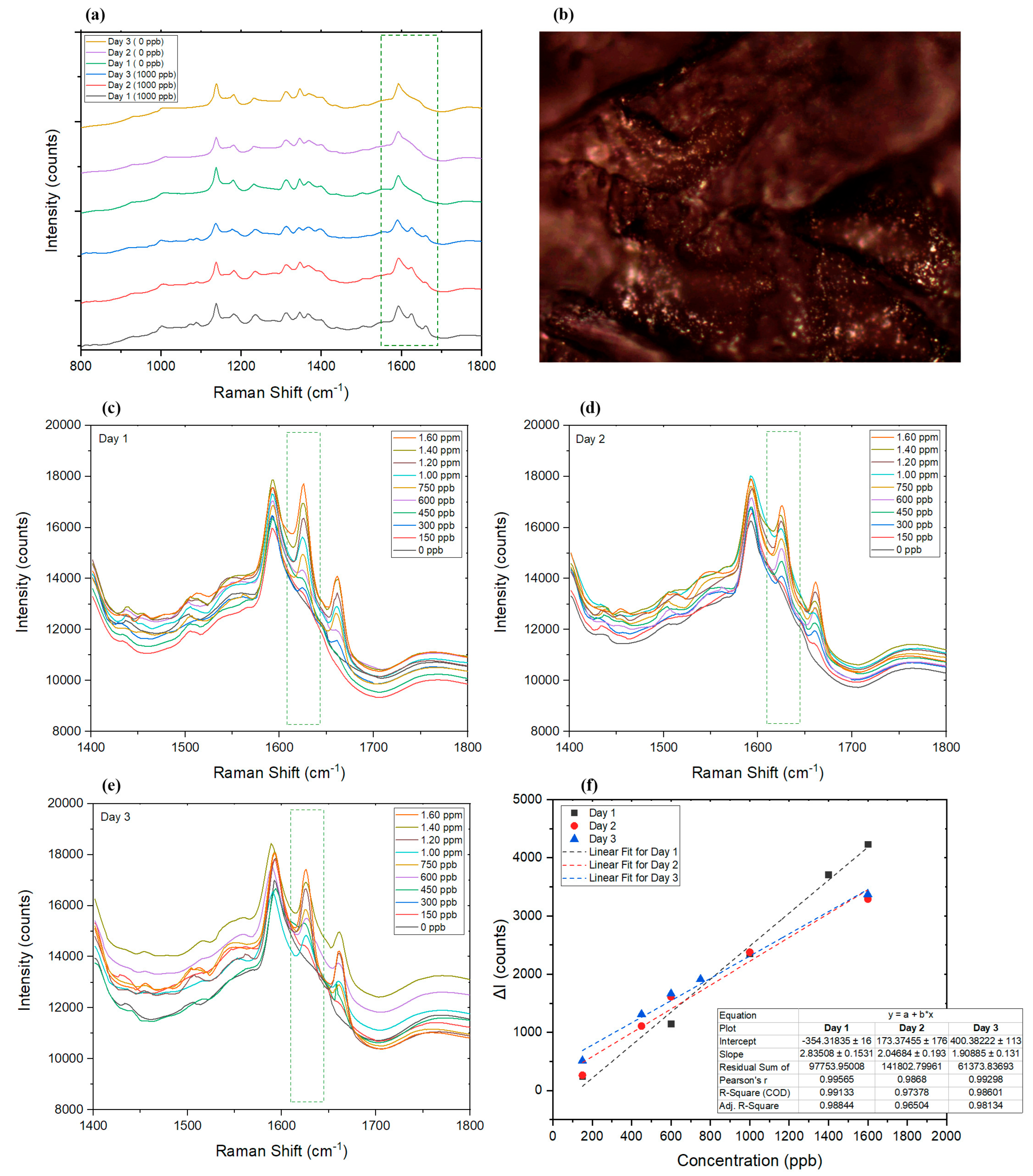 Sensors 22 08257 g006 Sensors 22 08257 g006
