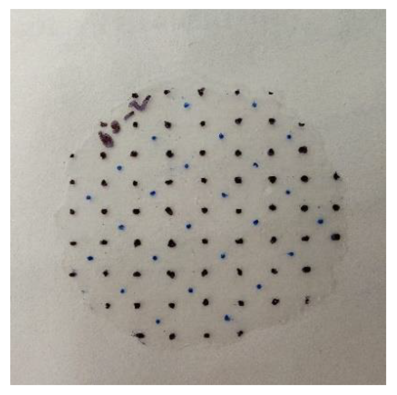 Sensors 22 08265 g019