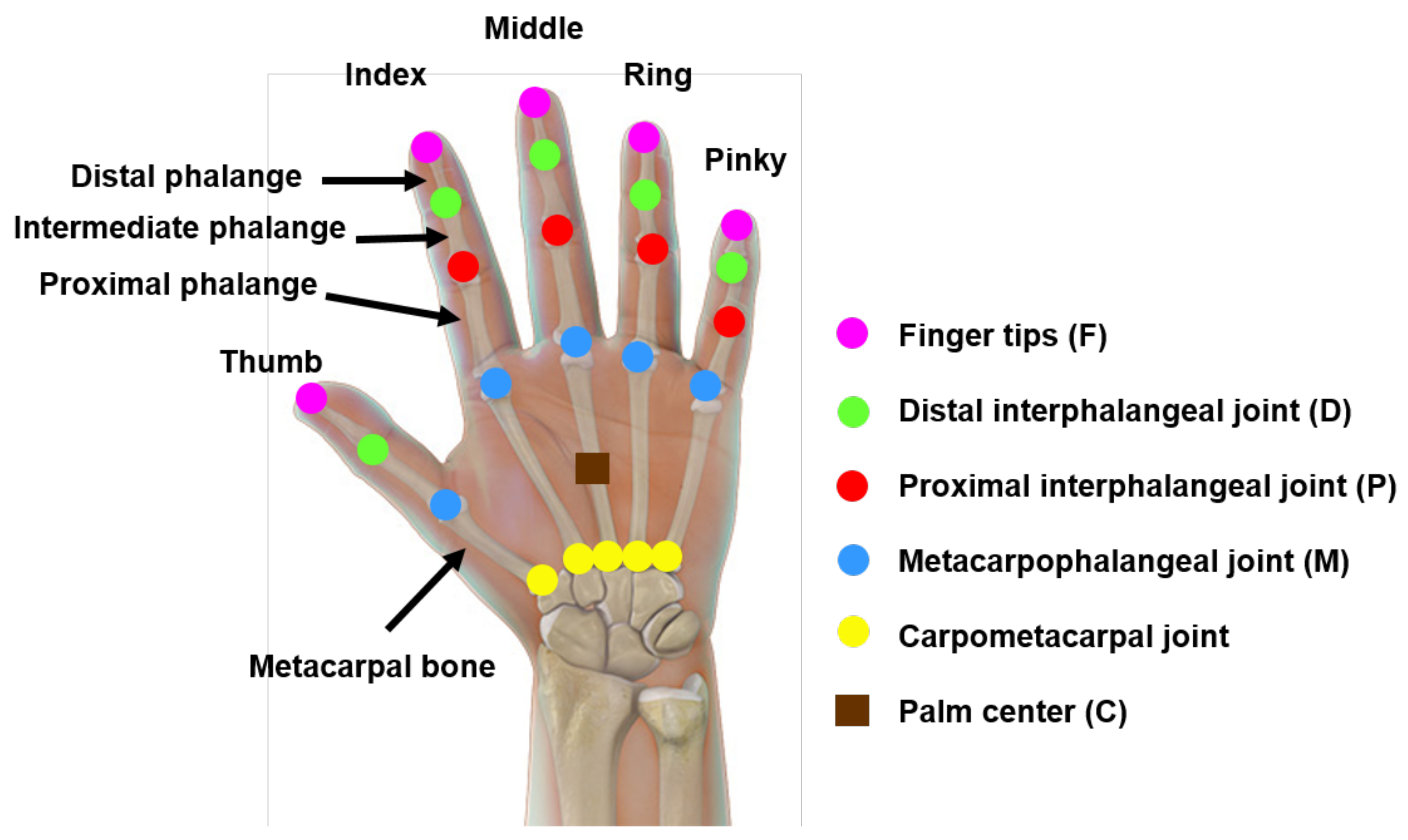 Sensors 22 08273 g006 Sensors 22 08273 g006