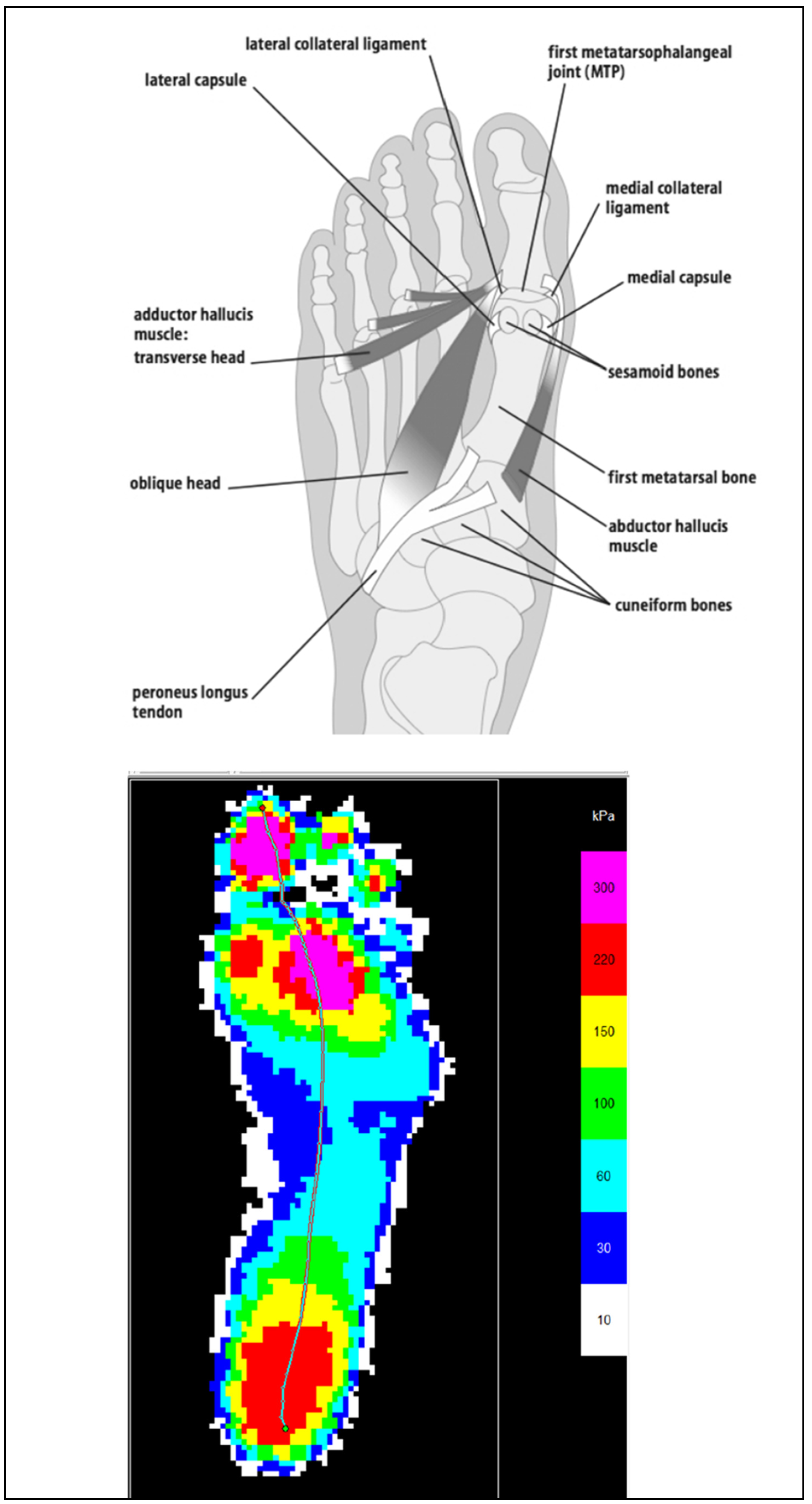 Sensors 22 08327 g012