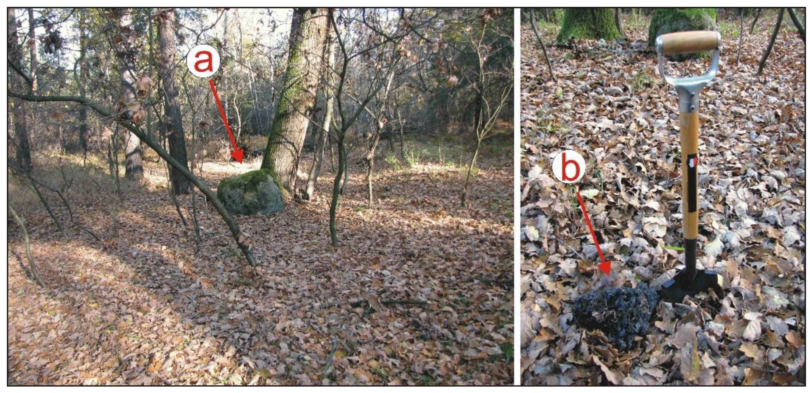 Sensors 22 08328 g006