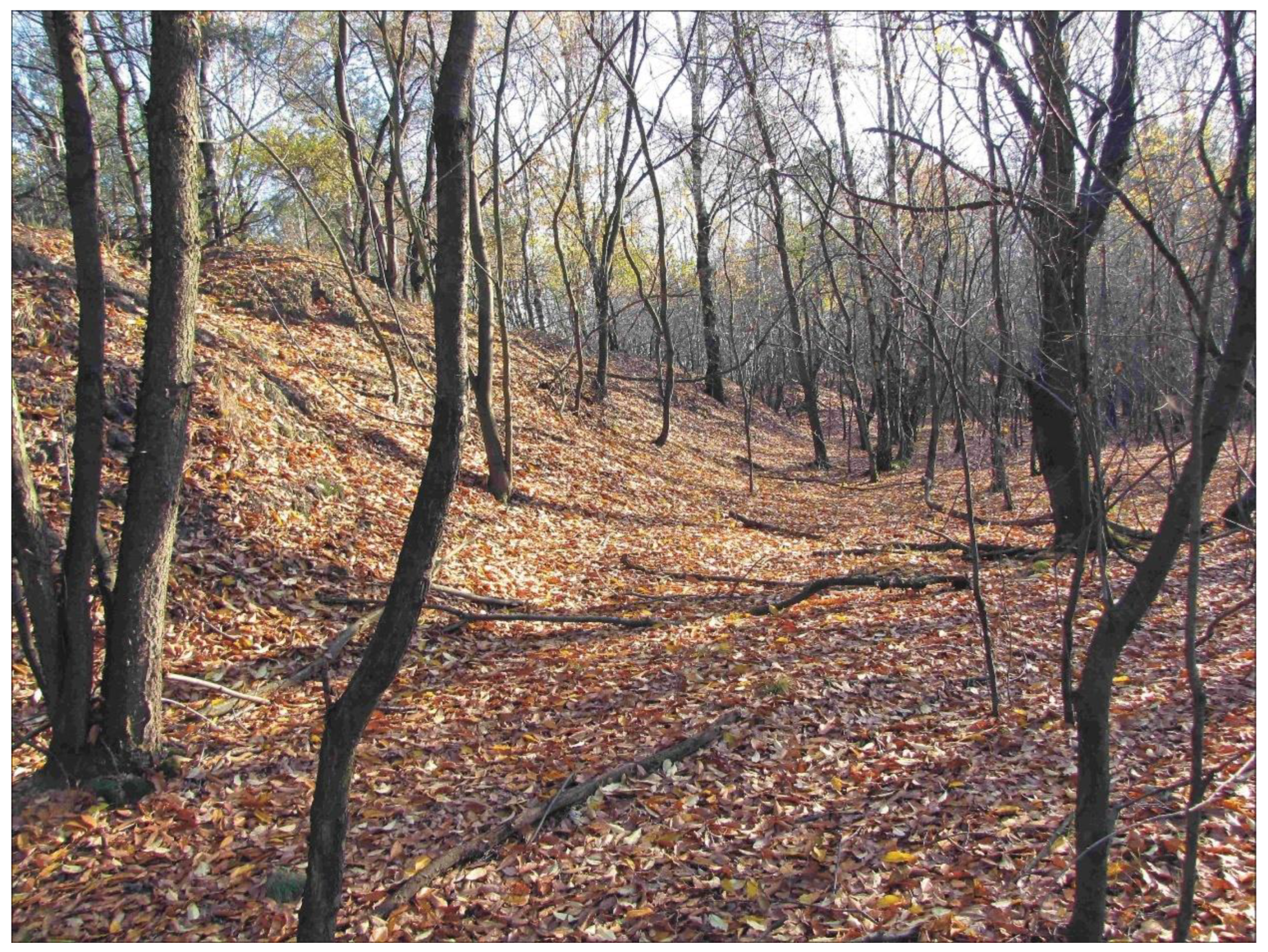 Sensors 22 08328 g008