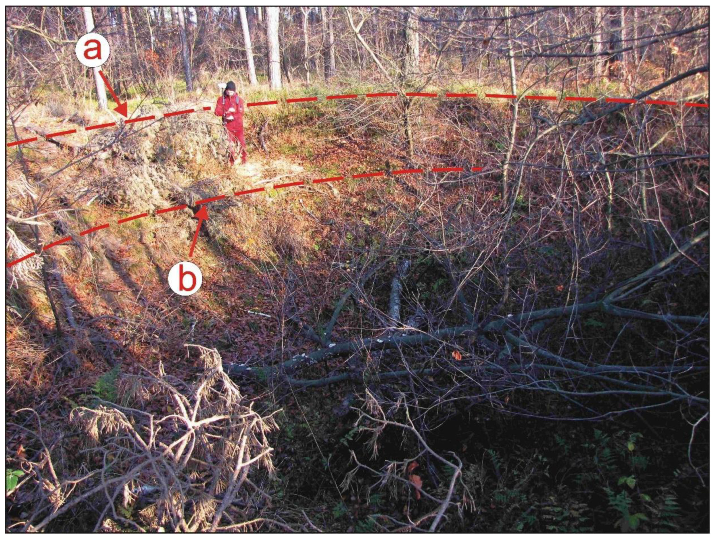 Sensors 22 08328 g009